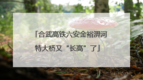 合武高铁六安金裕淠河特大桥又“长高”了