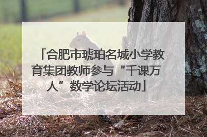 合肥市琥珀名城小学教育集团教师参与“千课万人”数学论坛活动