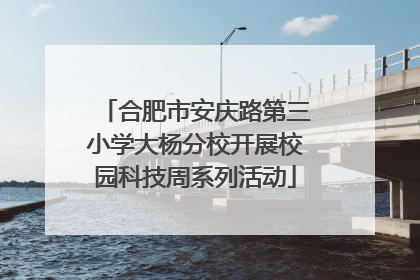合肥市安庆路第三小学大杨分校开展校园科技周系列活动