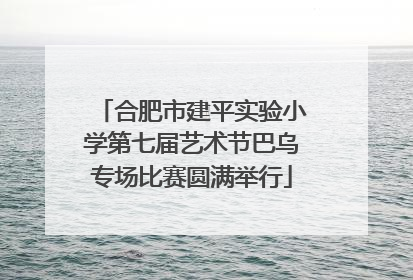合肥市建平实验小学第七届艺术节巴乌专场比赛圆满举行