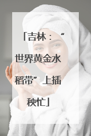 吉林：“世界黄金水稻带”上插秧忙