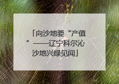 向沙地要“产值”——辽宁科尔沁沙地兴绿见闻