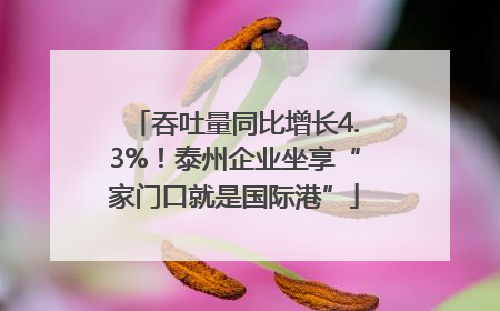 吞吐量同比增长4.3%！泰州企业坐享“家门口就是国际港”