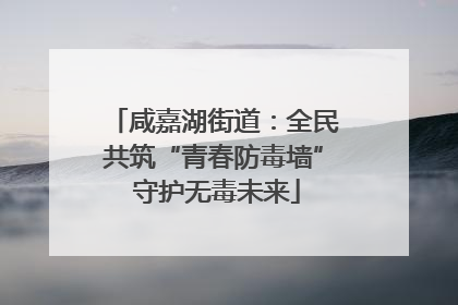 咸嘉湖街道：全民共筑“青春防毒墙” 守护无毒未来