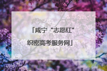 咸宁“志愿红”织密高考服务网