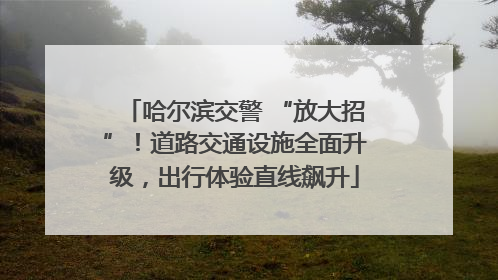 哈尔滨交警 “放大招”！道路交通设施全面升级，出行体验直线飙升