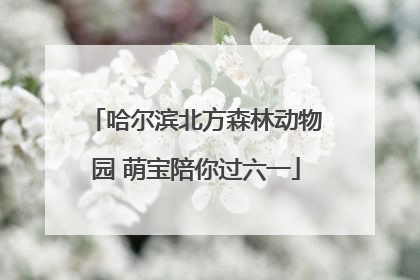 哈尔滨北方森林动物园 萌宝陪你过六一