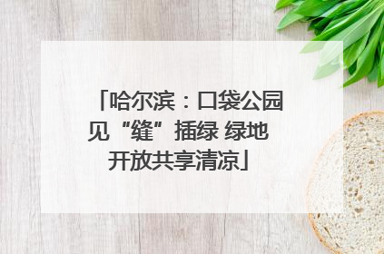 哈尔滨：口袋公园见“缝”插绿 绿地开放共享清凉