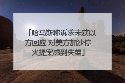 哈马斯称诉求未获以方回应 对美方加沙停火提案感到失望