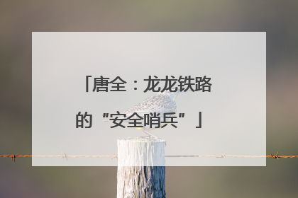 唐全：龙龙铁路的“安全哨兵”