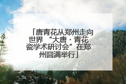 唐青花从郑州走向世界 “大唐・青花瓷学术研讨会”在郑州圆满举行