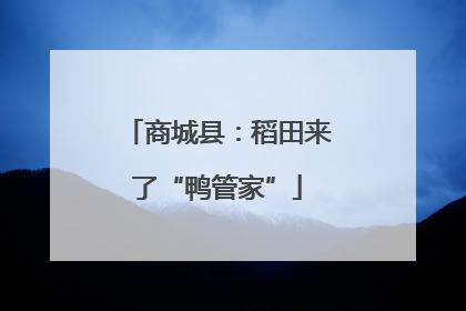 商城县：稻田来了“鸭管家”