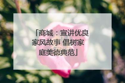 商城：宣讲优良家风故事 倡树家庭美德典范