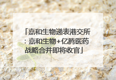 嘉和生物递表港交所：嘉和生物+亿腾医药战略合并即将收官