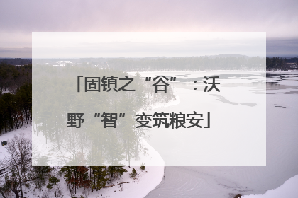 固镇之“谷”：沃野“智”变筑粮安