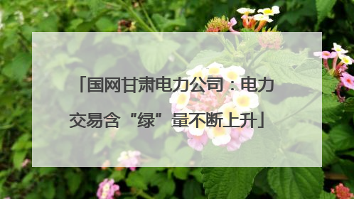 国网甘肃电力公司：电力交易含“绿”量不断上升
