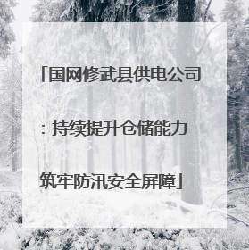 国网修武县供电公司：持续提升仓储能力 筑牢防汛安全屏障