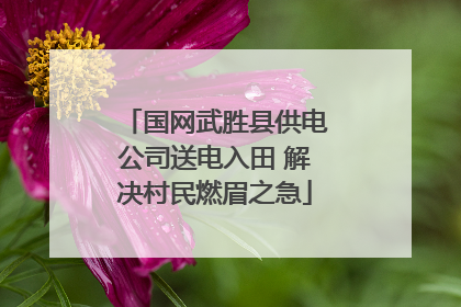 国网武胜县供电公司送电入田 解决村民燃眉之急
