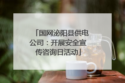 国网泌阳县供电公司：开展安全宣传咨询日活动