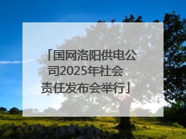 国网洛阳供电公司2025年社会责任发布会举行