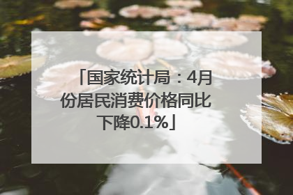 国家统计局：4月份居民消费价格同比下降0.1%