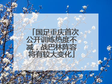 国足重庆首次公开训练热度不减，战巴林阵容将有较大变化