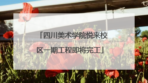 四川美术学院悦来校区一期工程即将完工