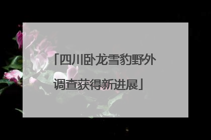 四川卧龙雪豹野外调查获得新进展