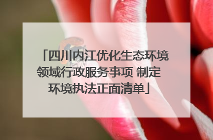 四川内江优化生态环境领域行政服务事项 制定环境执法正面清单