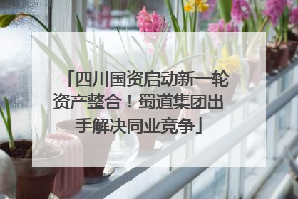四川国资启动新一轮资产整合！蜀道集团出手解决同业竞争