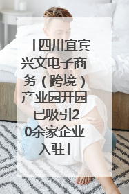 四川宜宾兴文电子商务（跨境）产业园开园 已吸引20余家企业入驻
