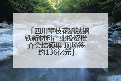 四川攀枝花钒钛钢铁新材料产业投资推介会结硕果 现场签约136亿元