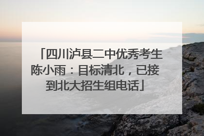四川泸县二中优秀考生陈小雨：目标清北，已接到北大招生组电话