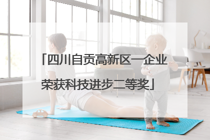 四川自贡高新区一企业荣获科技进步二等奖