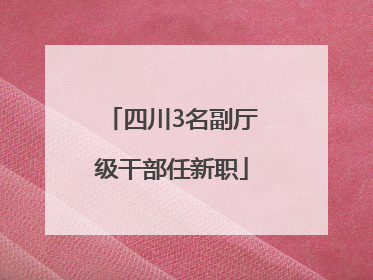 四川3名副厅级干部任新职