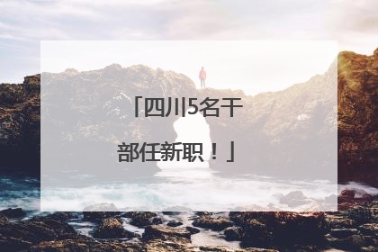 四川5名干部任新职！