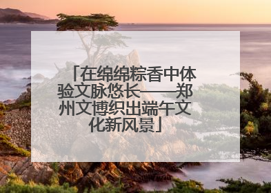 在绵绵粽香中体验文脉悠长——郑州文博织出端午文化新风景