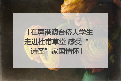 在蓉港澳台侨大学生走进杜甫草堂 感受“诗圣”家国情怀