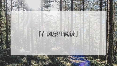 在风景里阅读