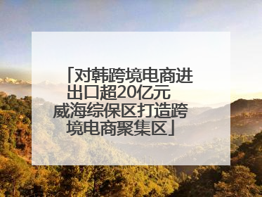 对韩跨境电商进出口超20亿元 威海综保区打造跨境电商聚集区