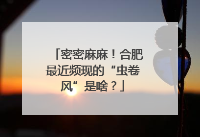 密密麻麻!合肥最近频现的“虫卷风”是啥?