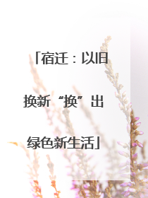 宿迁：以旧换新“换”出绿色新生活