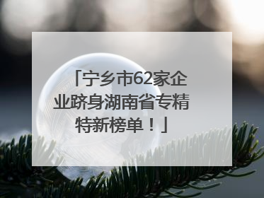 宁乡市62家企业跻身湖南省专精特新榜单！