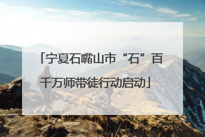 宁夏石嘴山市“石”百千万师带徒行动启动