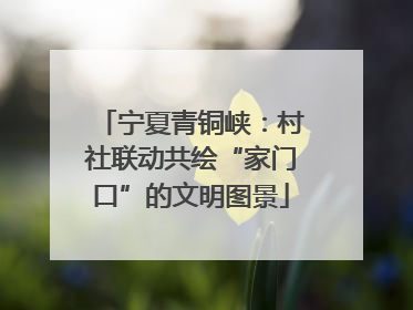 宁夏青铜峡：村社联动共绘“家门口”的文明图景