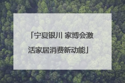宁夏银川 家博会激活家居消费新动能