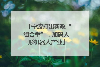 宁波打出新政“组合拳”，加码人形机器人产业