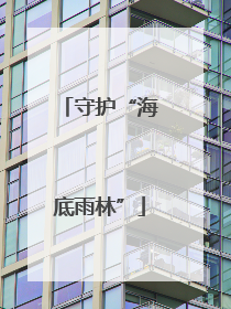 守护“海底雨林”