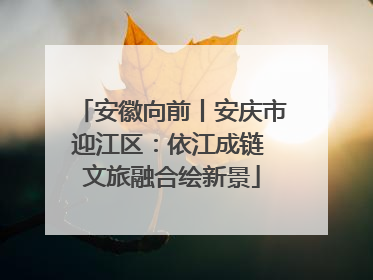 安徽向前丨安庆市迎江区：依江成链 文旅融合绘新景