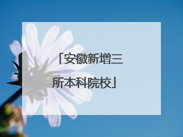 安徽新增三所本科院校